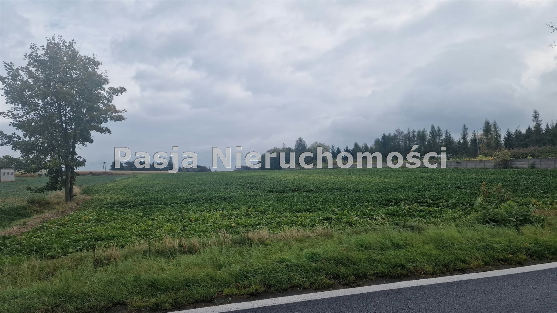 Sprzedam Działka 